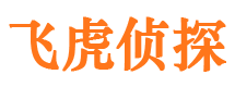 内蒙古市调查公司